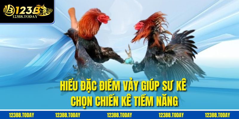 Hiểu đặc điểm vảy giúp sư kê chọn chiến kê tiềm năng