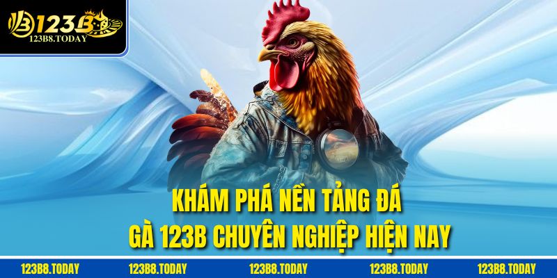 Khám phá nền tảng đá gà 123b chuyên nghiệp hiện nay